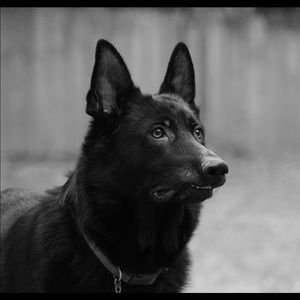 Meet your Posher, Gina